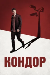 Кондор   Кондор