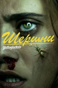 Шершни   Шершни