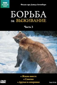 BBC: Борьба за выживание   BBC: Борьба за выживание