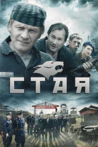 Стая   Стая