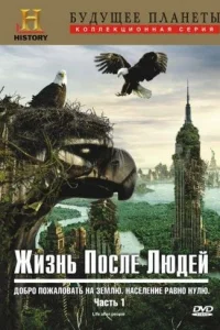 Жизнь после людей   Жизнь после людей