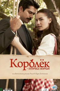 Королёк – птичка певчая   Королёк – птичка певчая