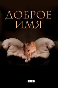 Доброе имя   Доброе имя