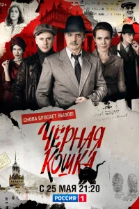 Чёрная кошка   Чёрная кошка
